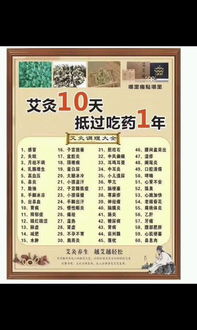 艾灸养生 古老智慧与现代服务的完美融合